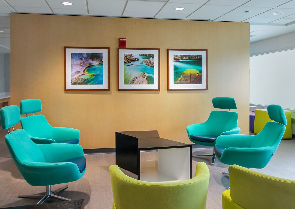 Colorful framed nature art in a hospital doctor's lounge