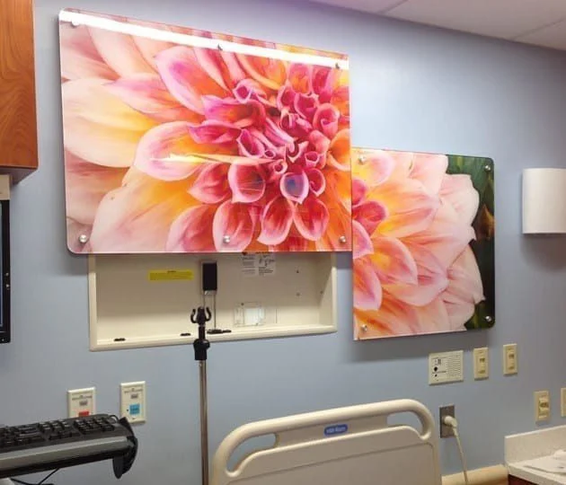 Decorative hospital headwall panel featuring nature art in a healthcare patient room