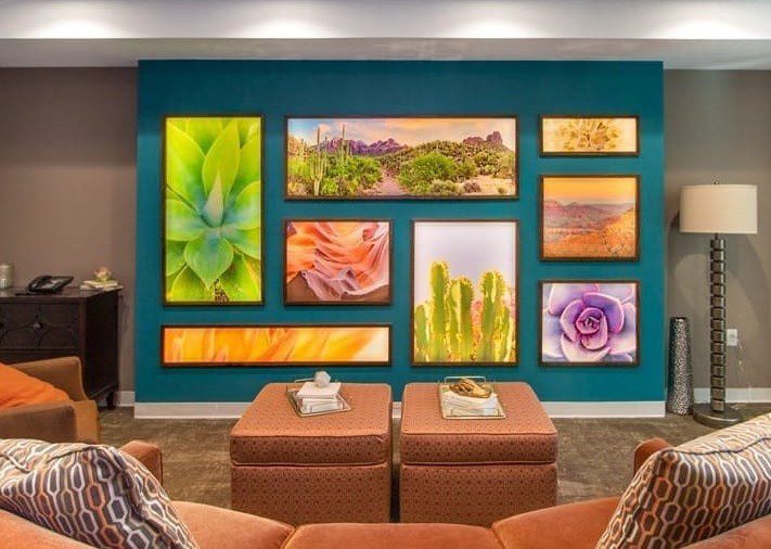 Backlit custom artwork display featuring nature photography in a senior living community