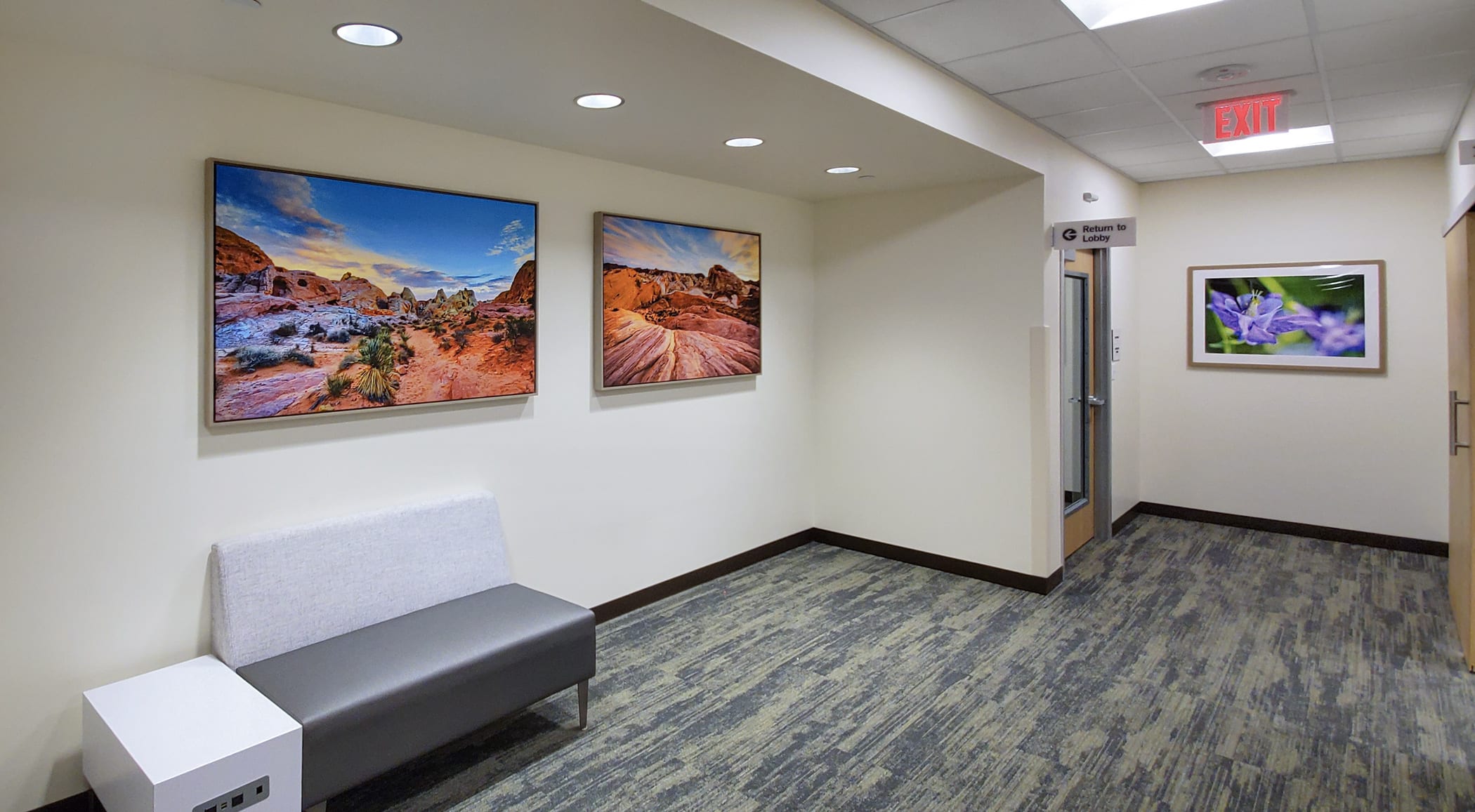 Framed and canvas nature artwork in a medical waiting area