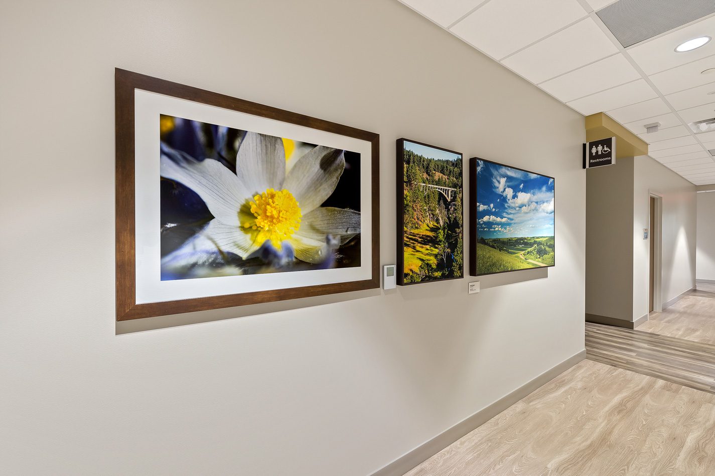 Monument Health Rapid City Hospital Artwork Art Framing Interior Design