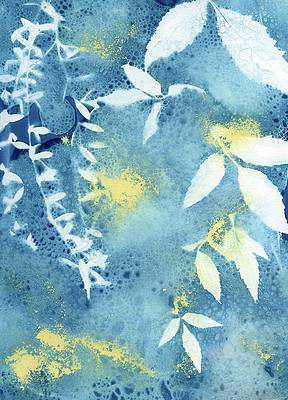 Jane Linders Wet Cyanotype Art Wheat Botanical