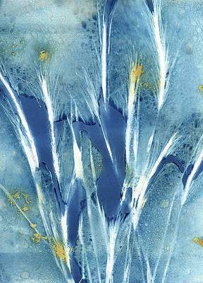 Jane Linders Wet Cyanotype Art Wheat Botanical