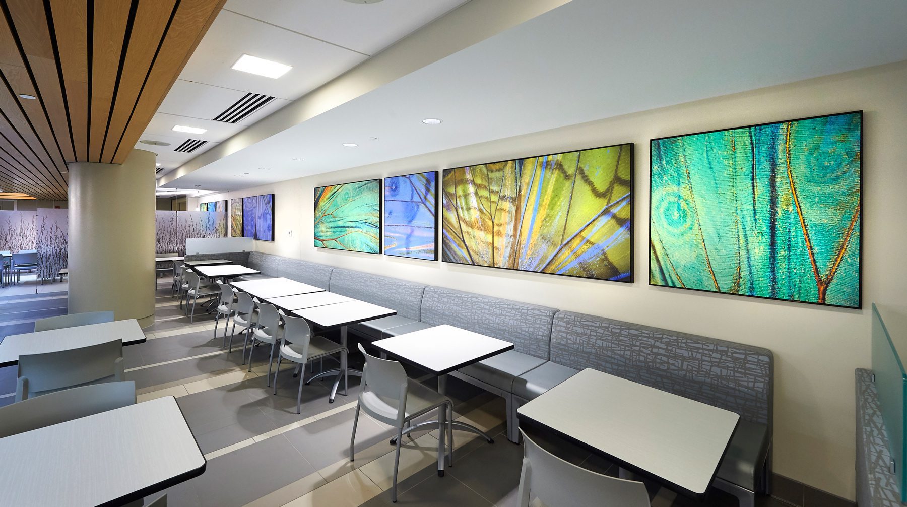 Nature-based framed canvas art creates a vibrant display in a hospital cafeteria.