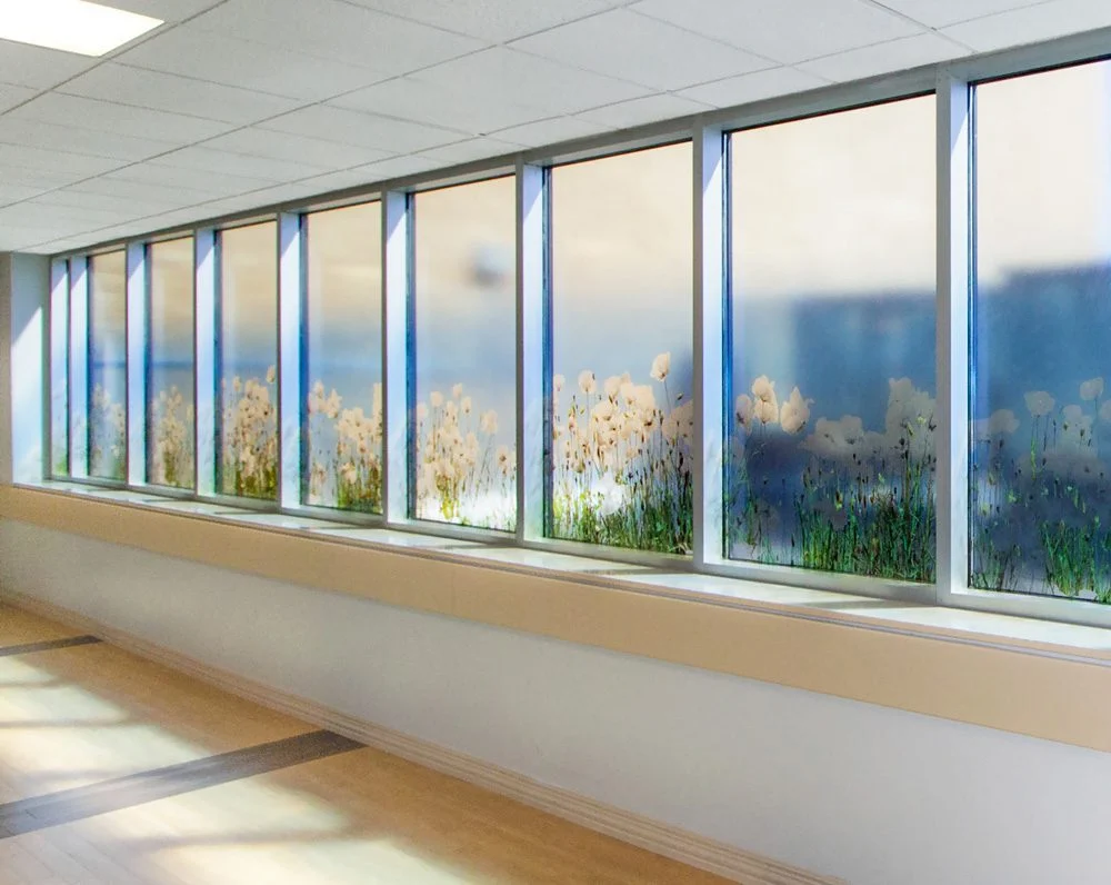 Decorative window graphics create privacy and obstruct unsightly views in public spaces.