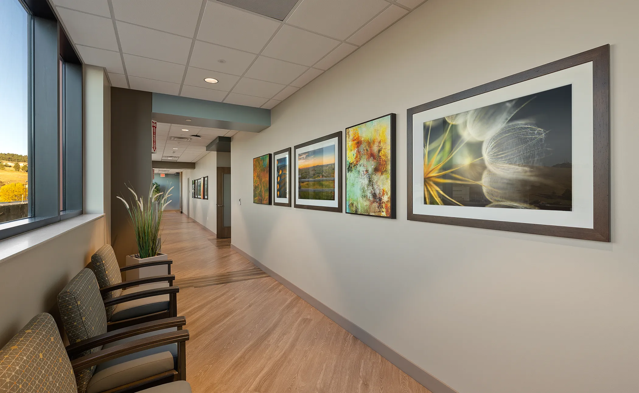 Hospital art program features curated framed and canvas nature art in a modern healthcare environment.