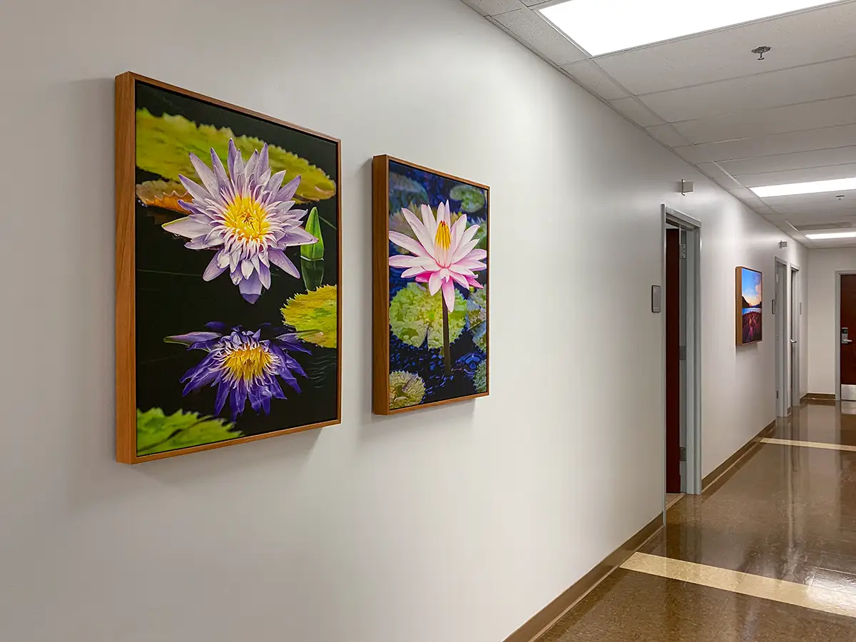 Framed sound-absorbing artwork helps reduce echo in a medical corridor.